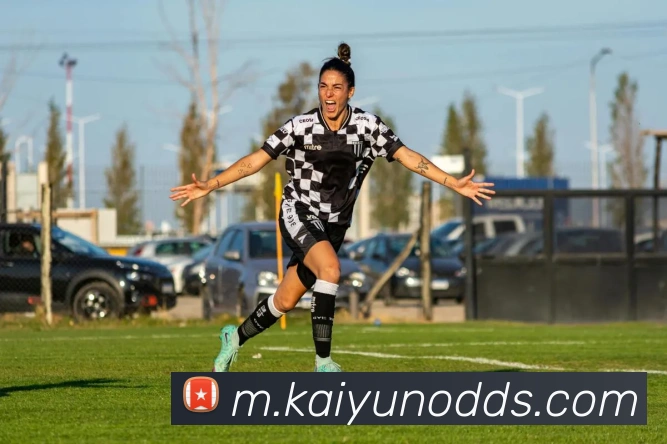 开云体育APP 封面图